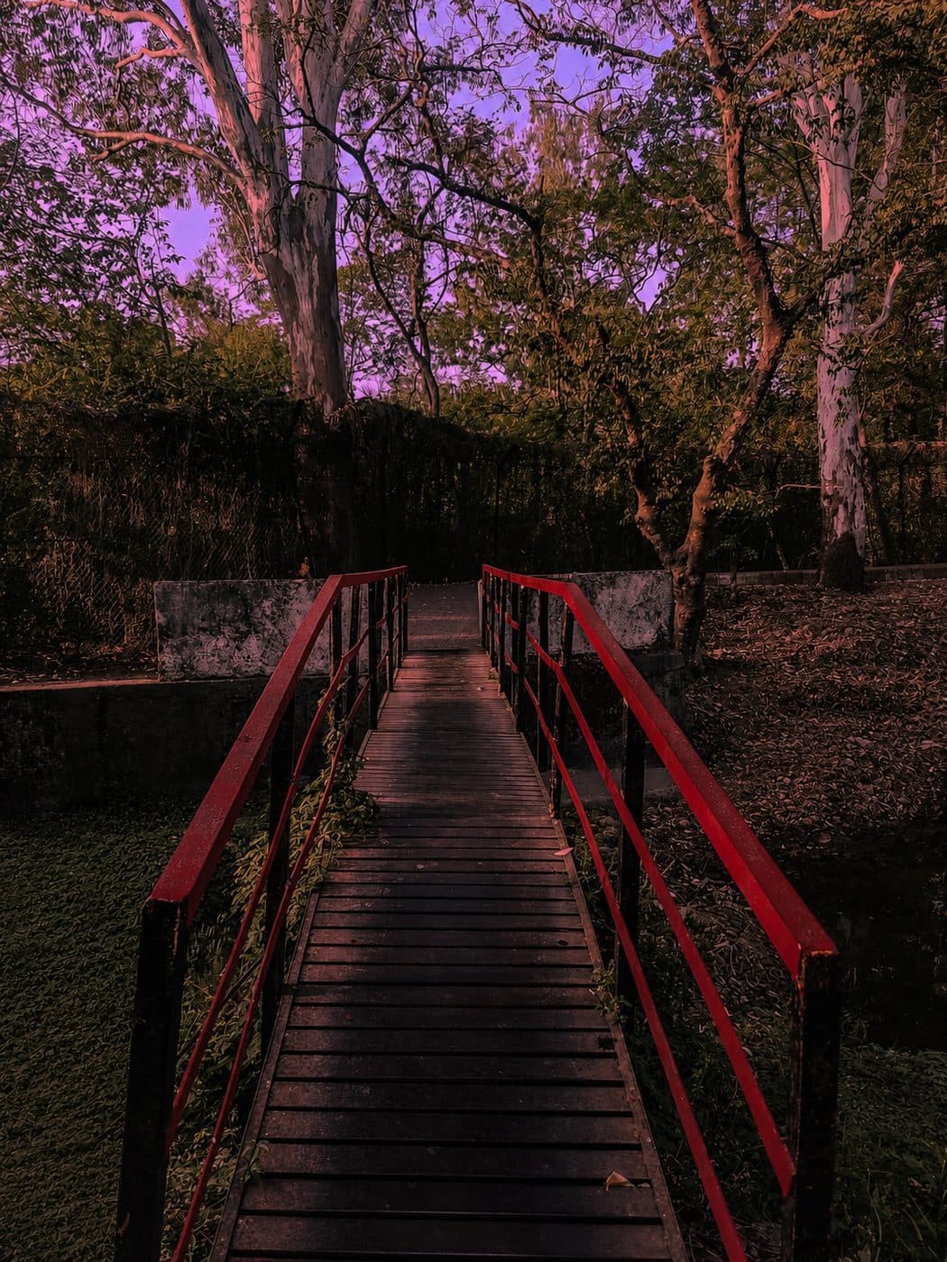 Bridge to Green